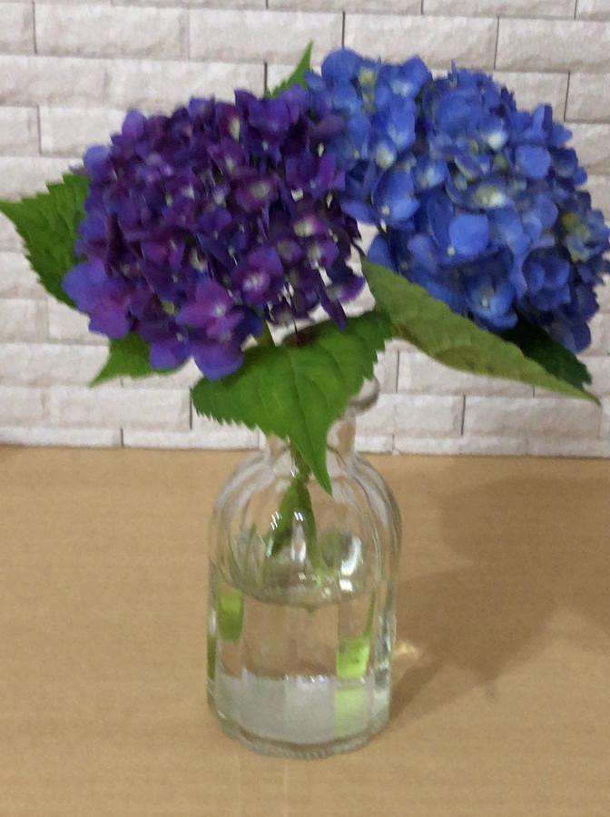 Sora One Stay & Yoga Asahikawa Exterior photo